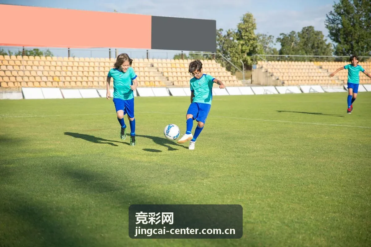 竞彩网专题内容整理案例